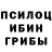 Галлюциногенные грибы Psilocybine cubensis Shafiga Kerimova