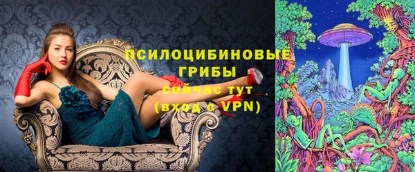 мяу мяу мука Абдулино