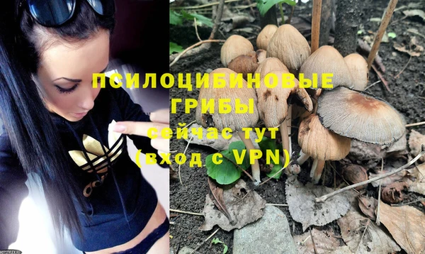 apvp Абинск