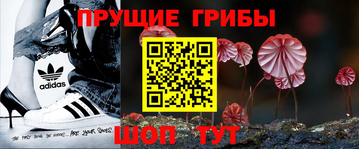Галлюциногенные грибы GOLDEN TEACHER Рязань