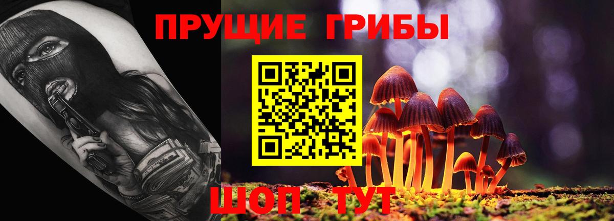 Рязань  Псилоцибиновые грибы прущие грибы  Вход с VPN  Галлюциногенные грибы Cubensis 