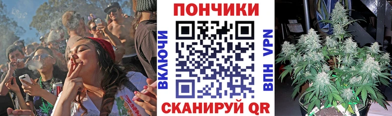 купить  сайты  Рязань  Бошки марихуана планчик 