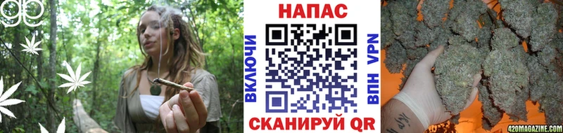 Конопля семена Рязань